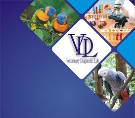 Bird Sexing -Lab Services - لیب سروسز