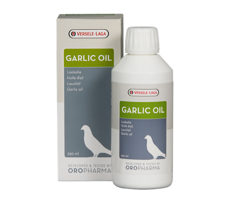 Garlic Oil