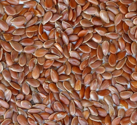 Alsee ( Linseed )