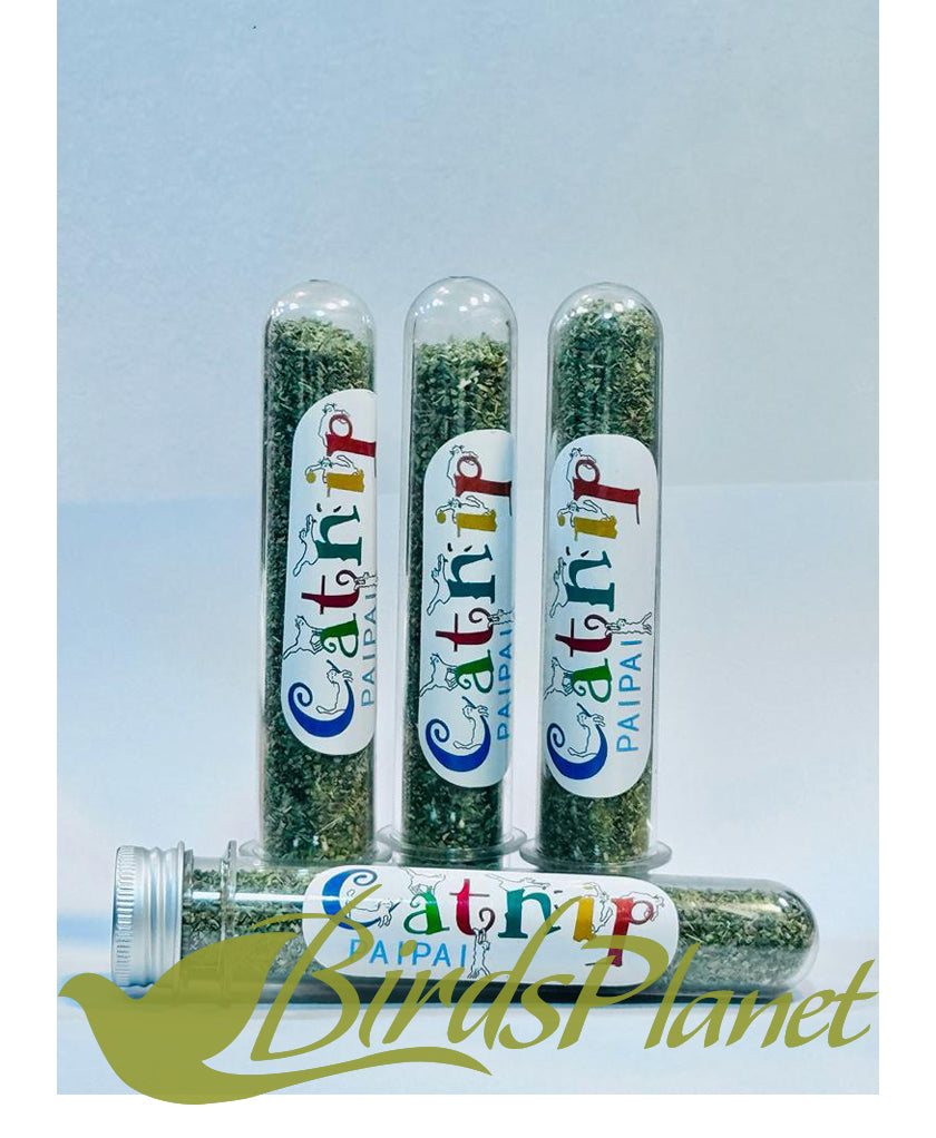Cat Nip Tube
