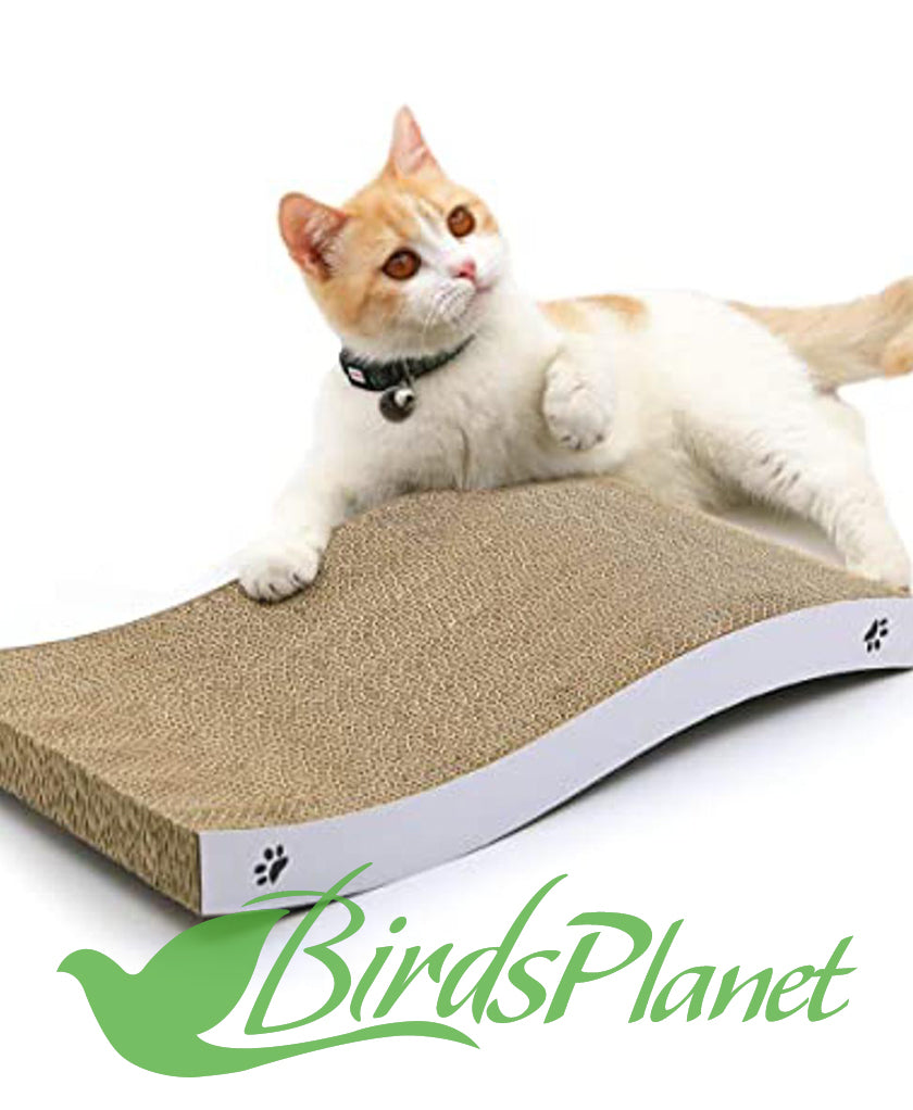 Scratch Pad/ Board – Birds Planet - Main Image