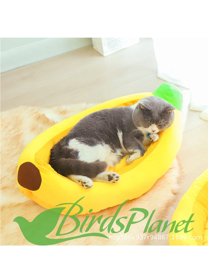 Banana Bed