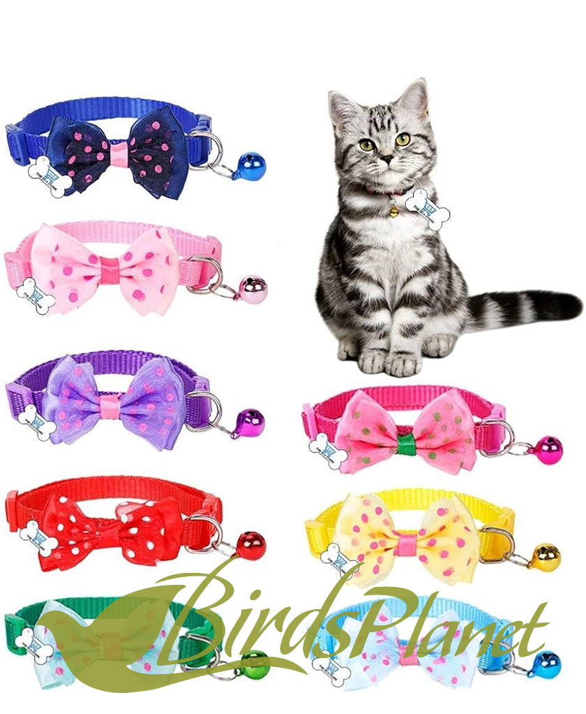 CAT COLLAR Hi Quality imp