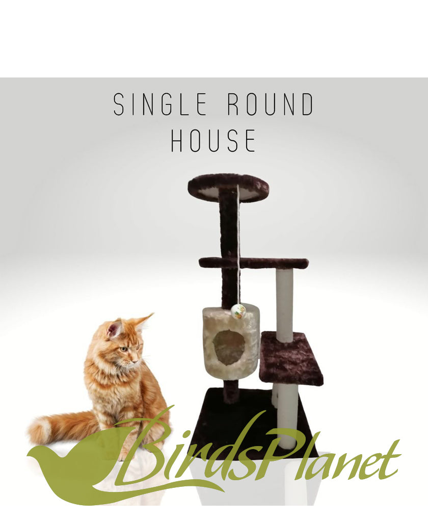 Round House Scratcher