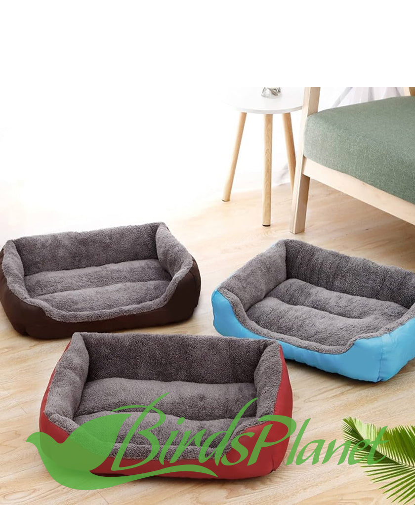 Dog Bed Square