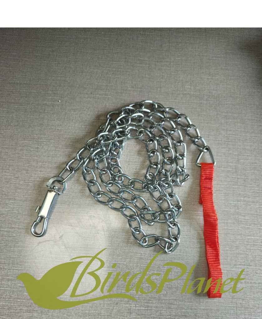 CHAIN LEASH