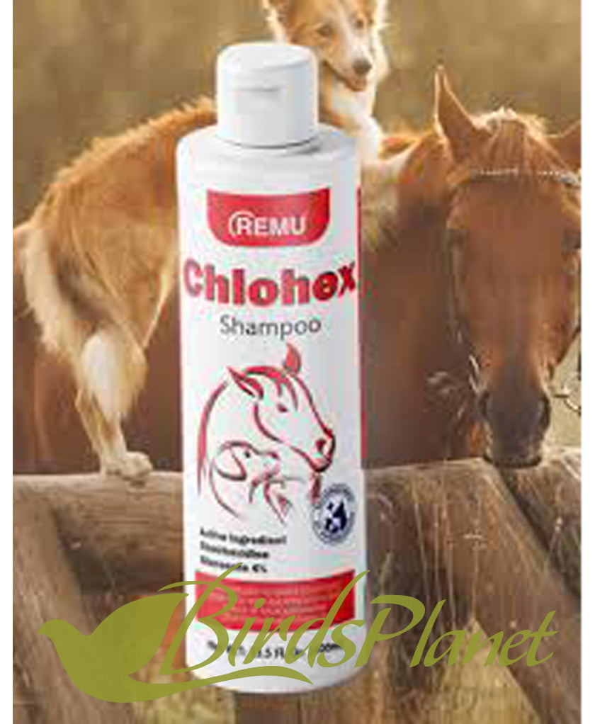 Remu Chlohex Shampoo S/L