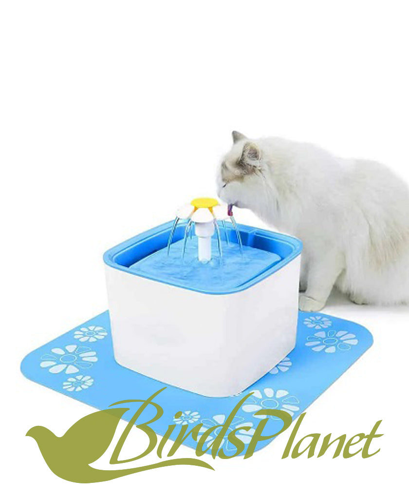 WATER FOUNTAIN