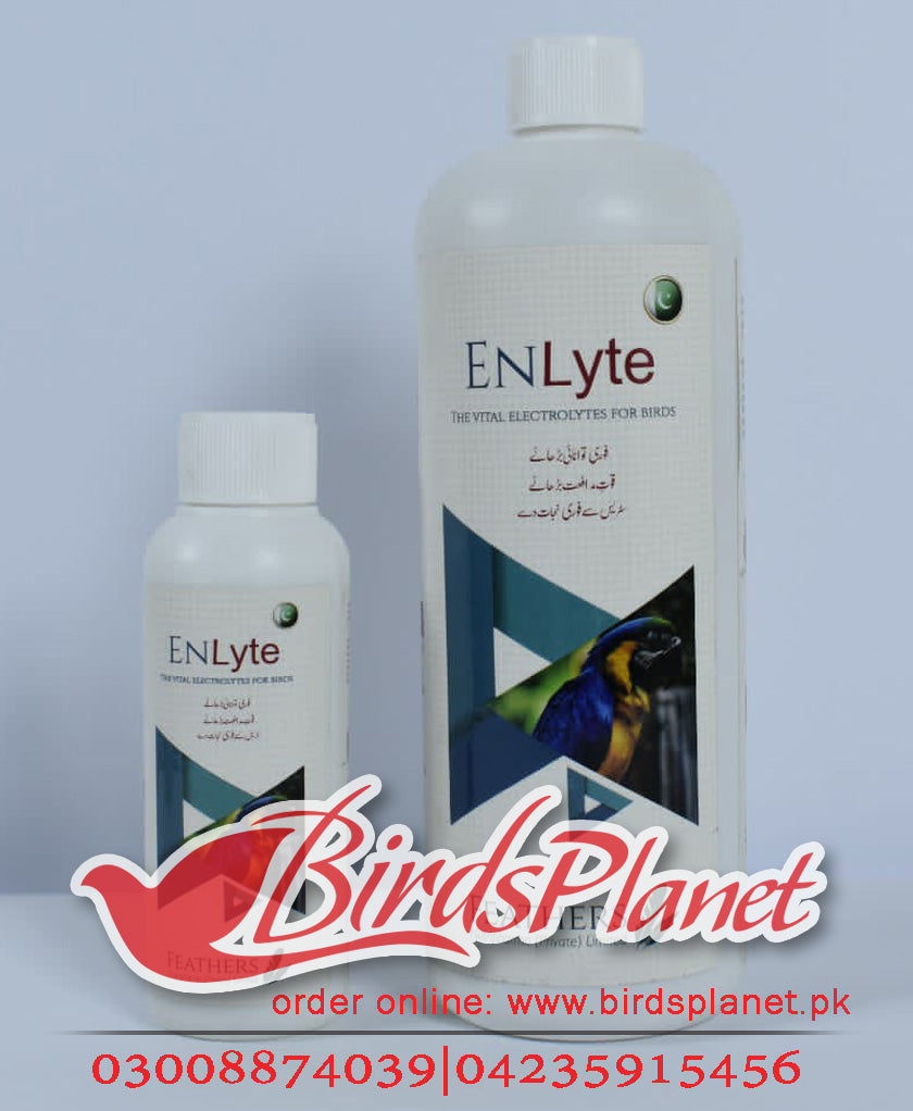 Enlyte