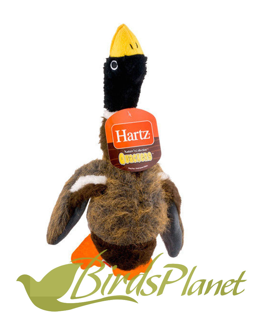 Hartz® Nature’s Collection® Quackers Plush Large