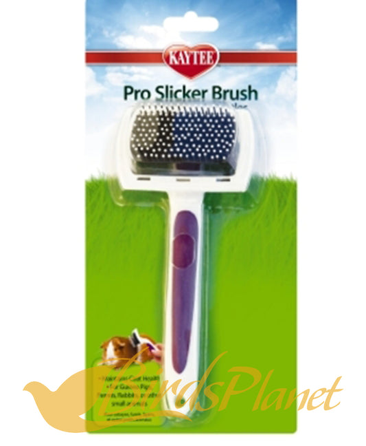 Kaytee Pro-Slicker Brush