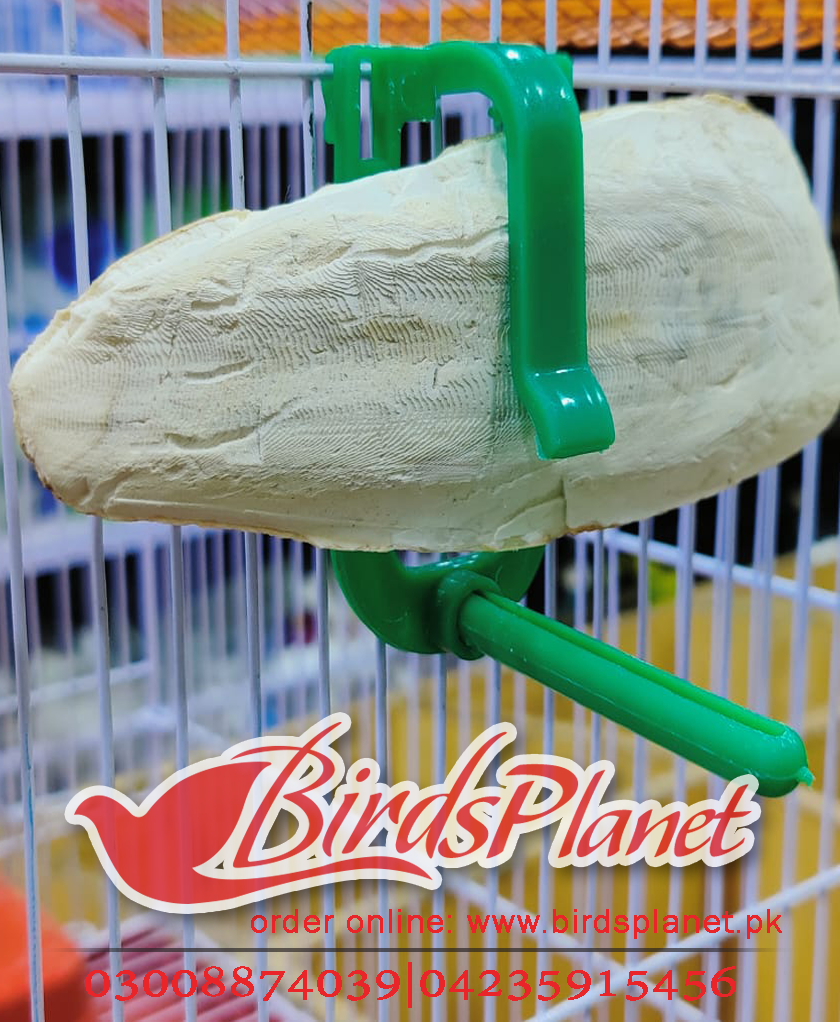 Cuttle bone holder Birds