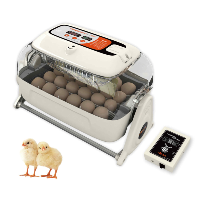 Rcom Kingsuro Max 20 Chicken or Reptile Incubator