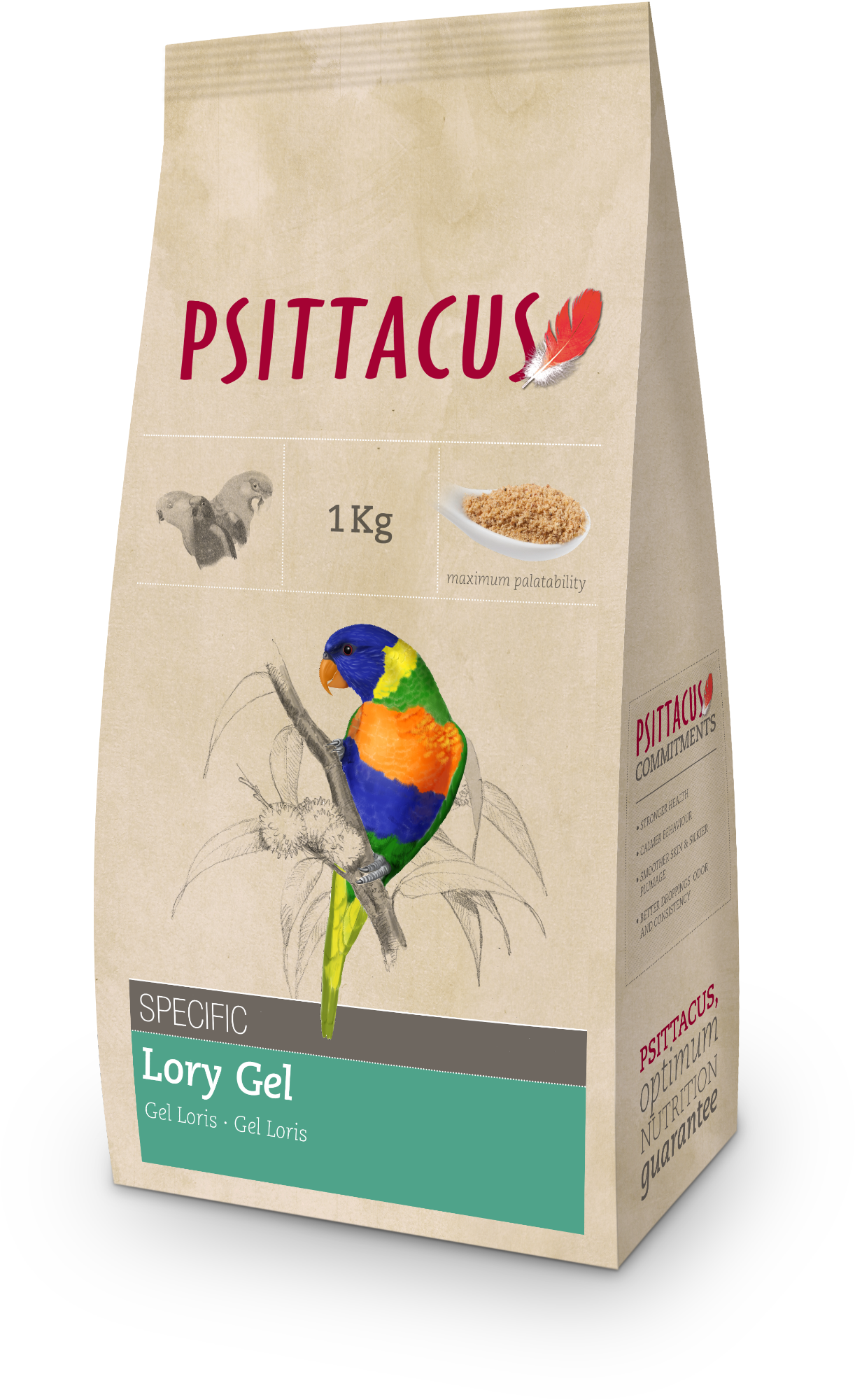 Psittacus Lory Gel