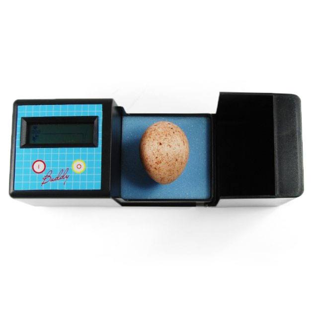 Egg Buddy (Digital Egg Monitor)