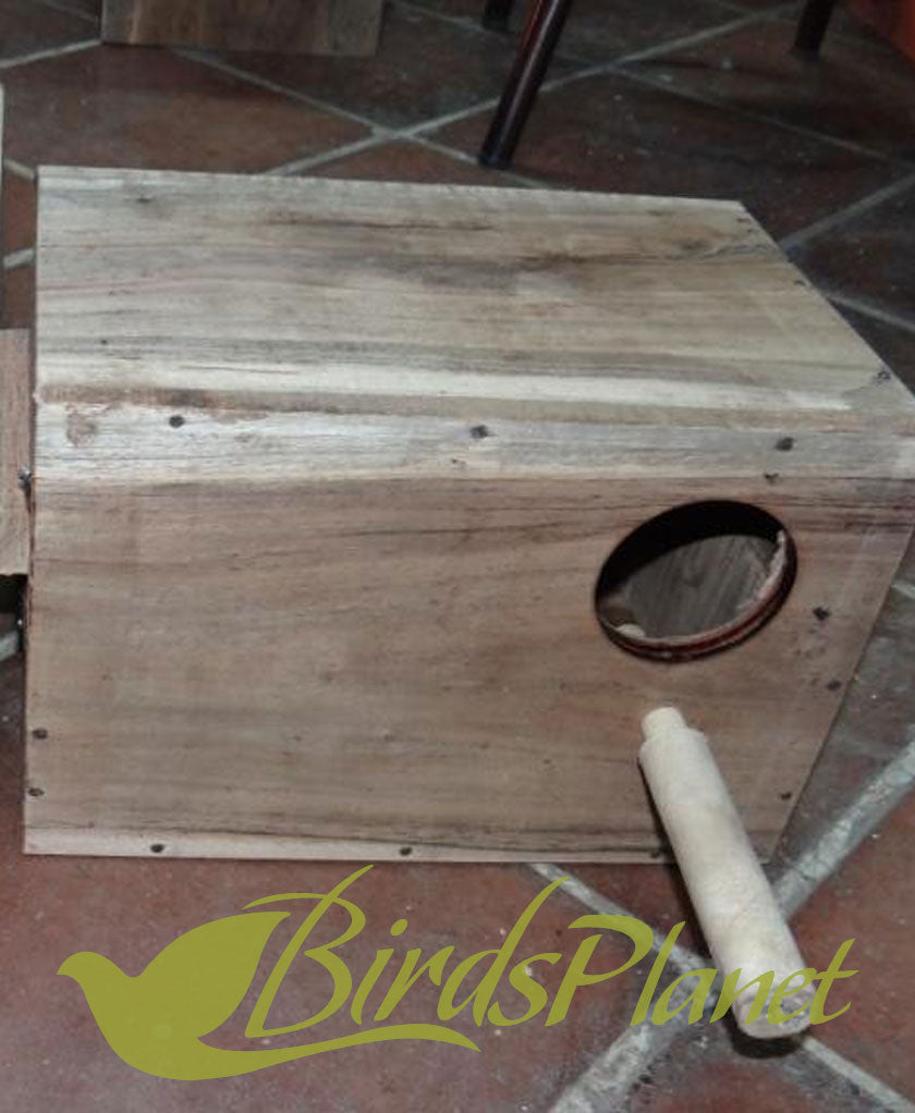 Lovebird breeding box best sale