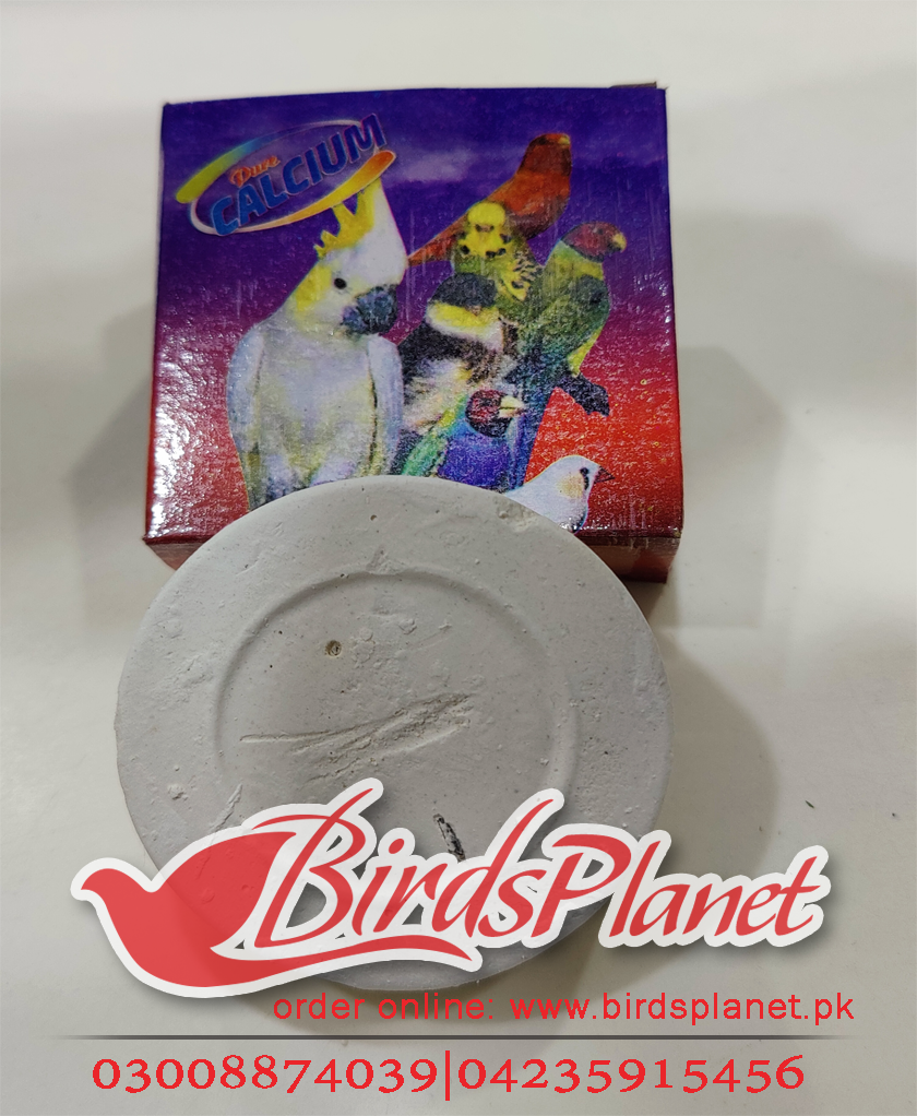 Bird Ego Original Block
