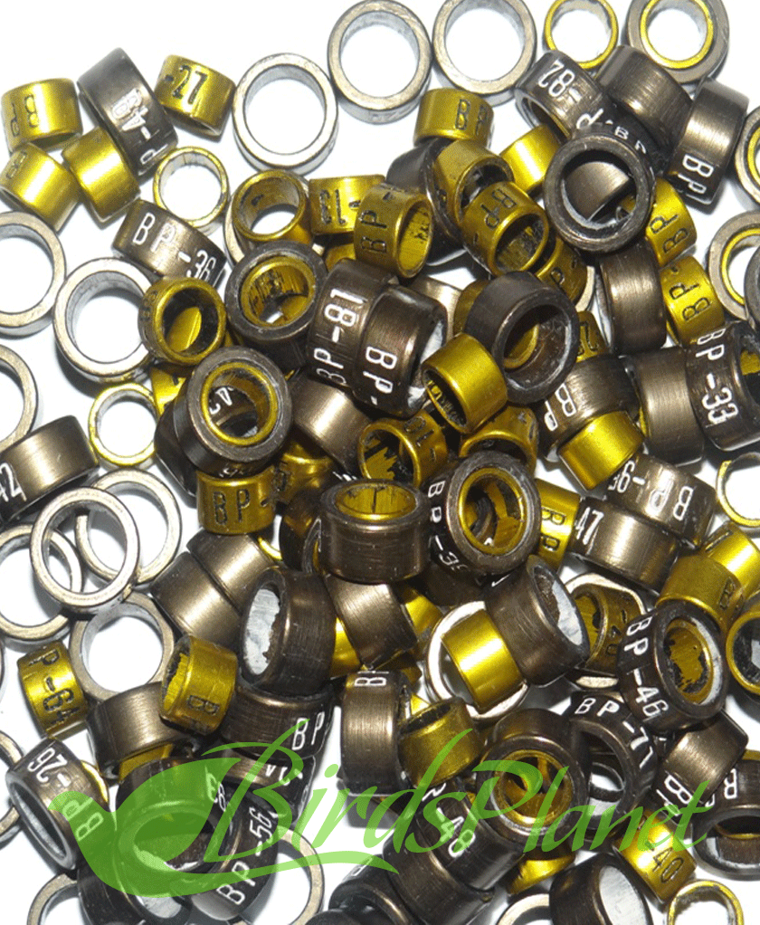 Rings for Cockatiels Adult Birds or Baby Birds