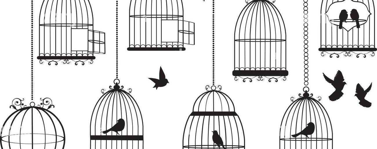 Birds Cages & Stands