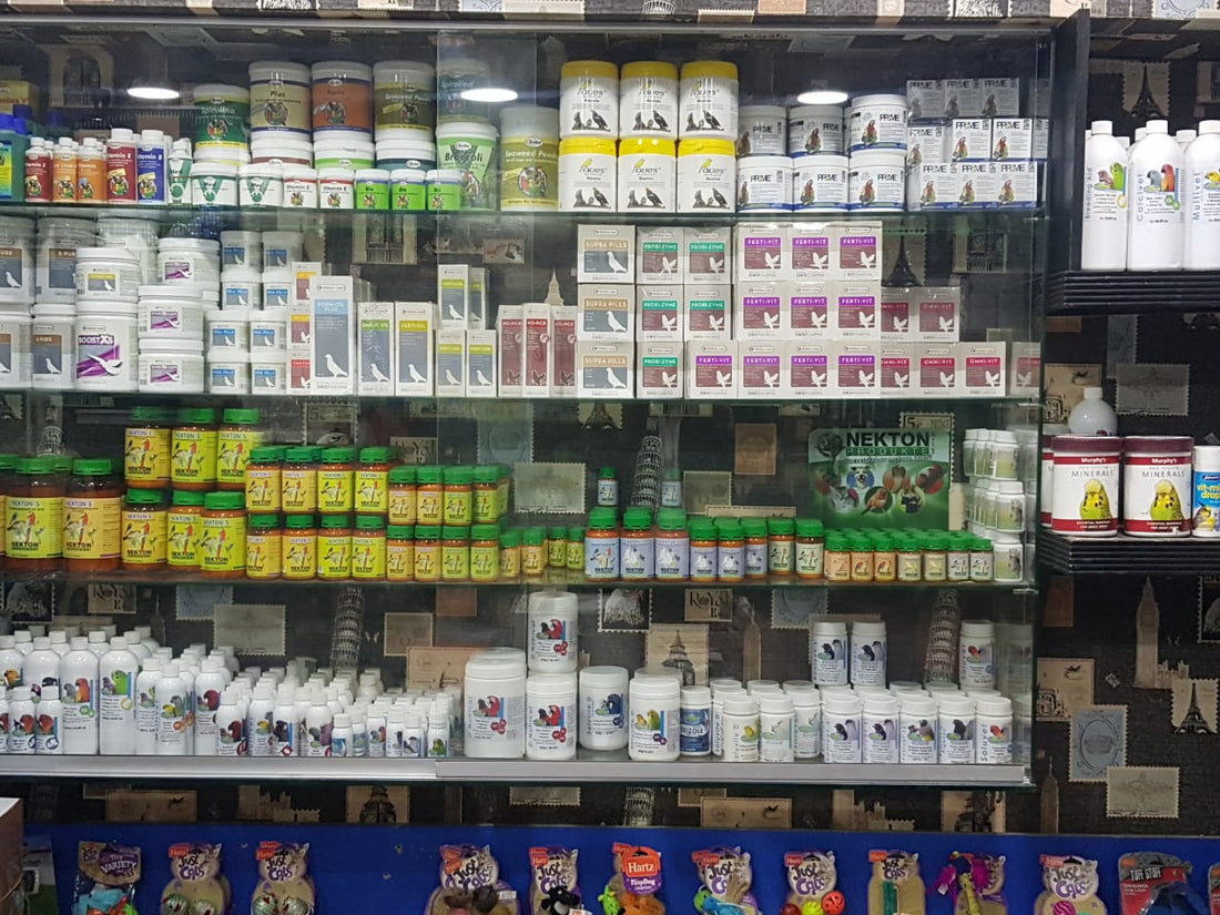 Birds Breeding Vitamins Birds