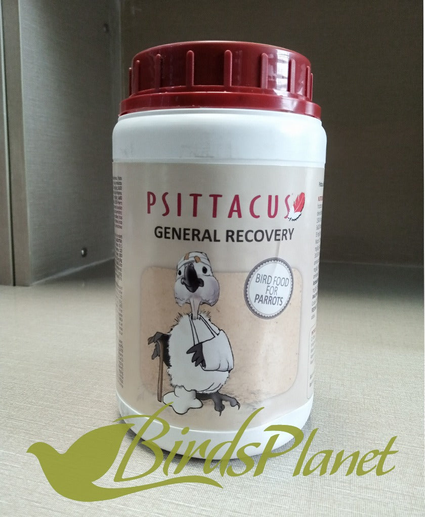 Psittacus General Recovery