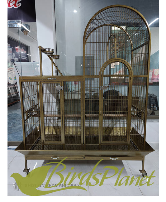 Cage Gol Dhaal Big Double With Partition
