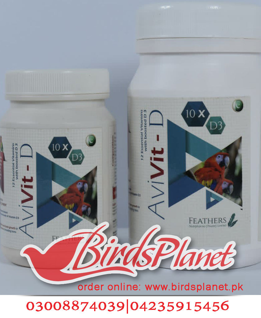 Avivit – D – Birds Planet