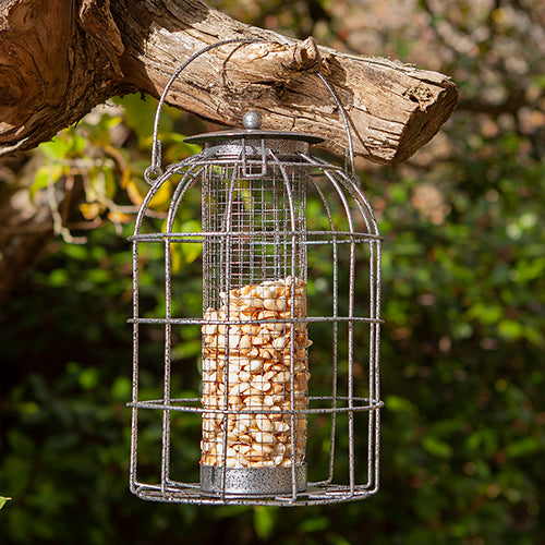 CAGED NUT FEEDER