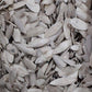 Cuttlefish Bone Pieces