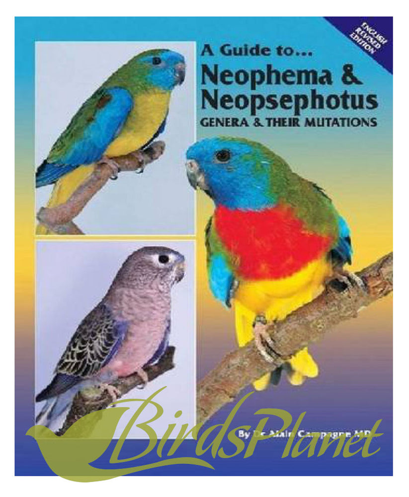A Guide to Neophema and Neopsephotus Genera and their Mutations – Birds ...