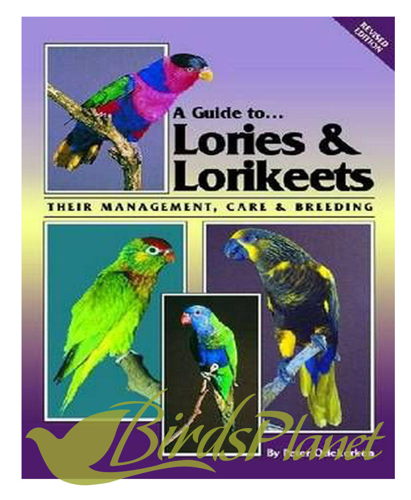 A Guide to Lories and Lorikeets (Revised Edition) – Birds Planet
