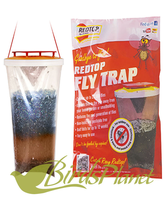 Redtop Fly trap