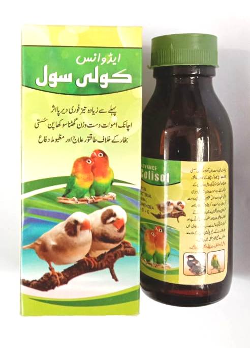 Colisol Advance Colisol Antibecterial Medicine – Birds Planet
