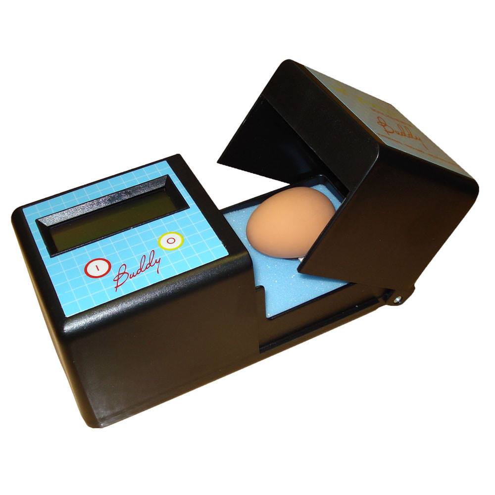 Egg Buddy (Digital Egg Monitor) – Birds Planet