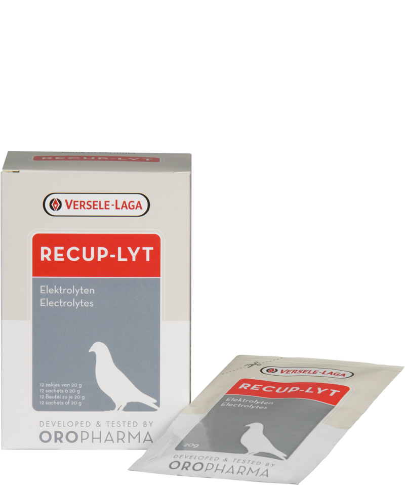 RECUP LYT Oropharma  20 Grm