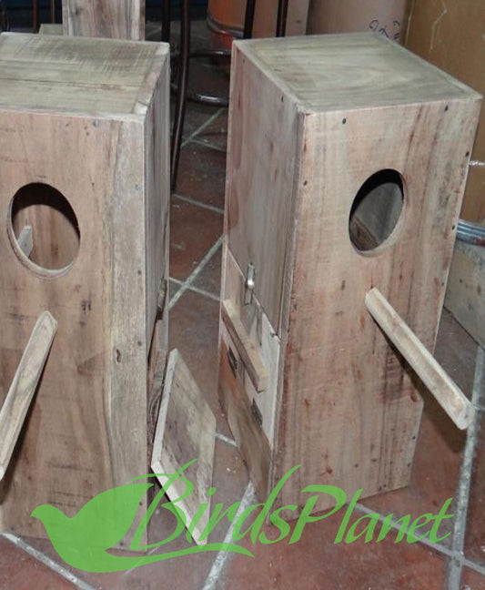 Breeding Box For Ringneck -rosella Breeding Box