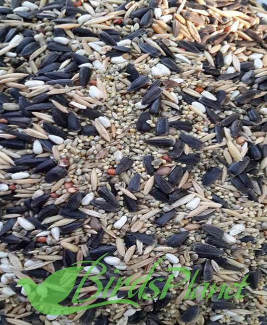 Seed Mix For Parrots